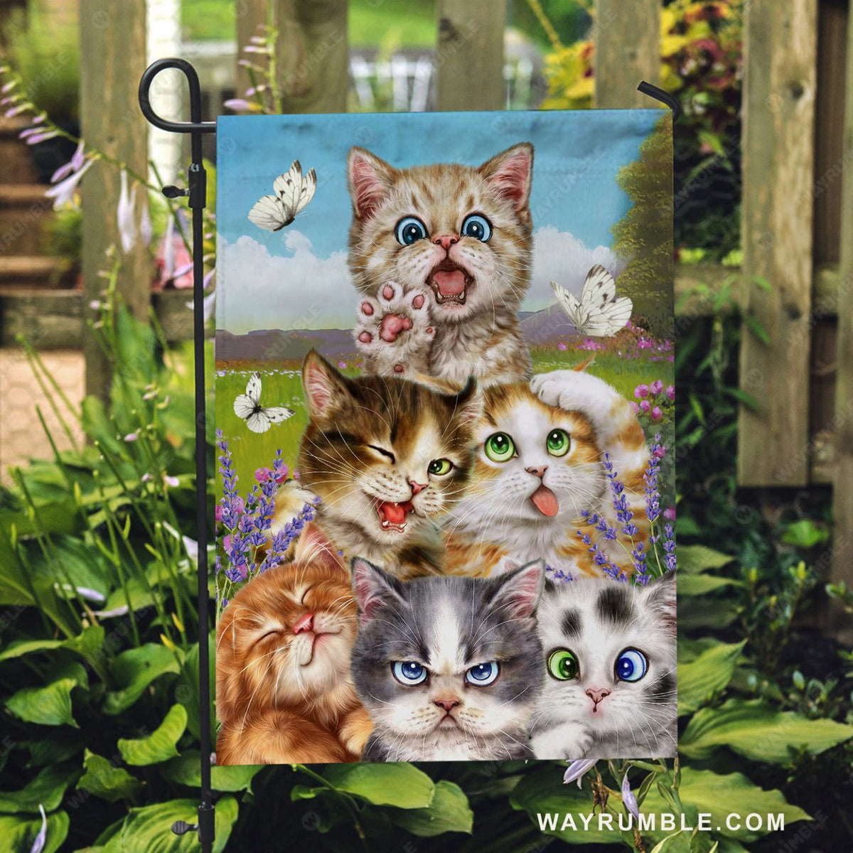 cats and lavender plants Cute cats, Lavender flower, White butterfly, Beautiful meadow - Cat Fl