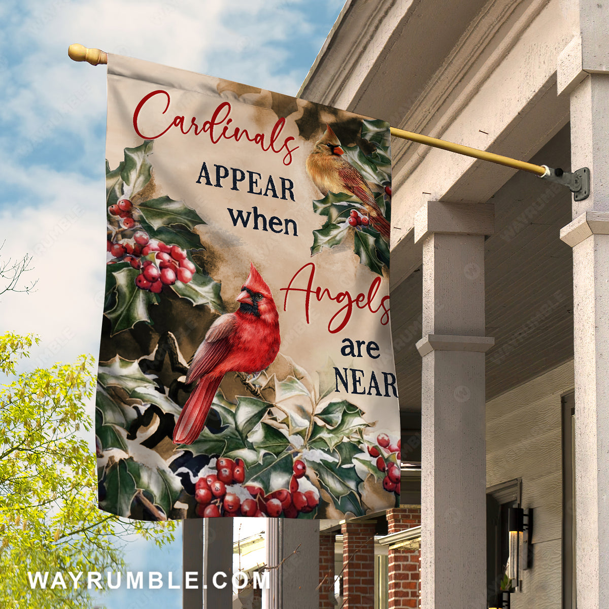 Beautiful cardinal, Frozen cranberry, Cardinal appear when angels are near - Heaven Flag