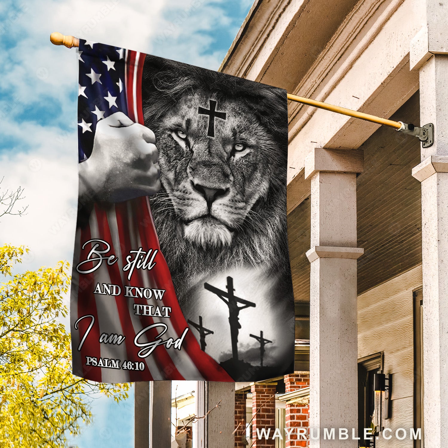 Lion King, King of Kings, Black and white painting, Be still and know that I am God - Jesus Flag