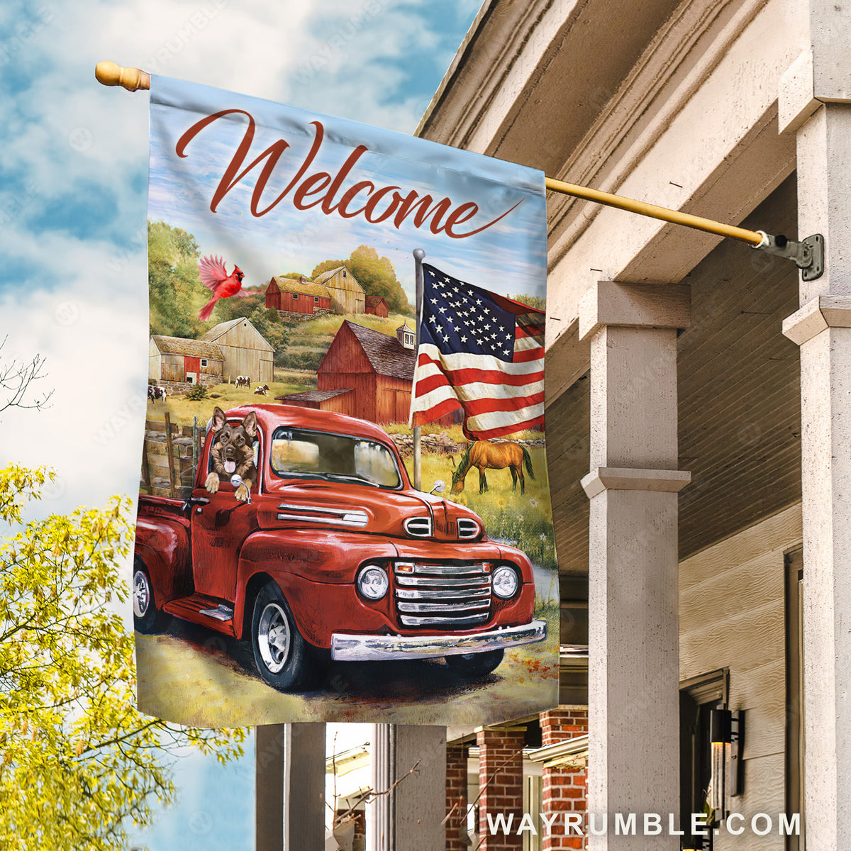 Northern cardinal, Cute dog in car, Village field, Welcome - Jesus Flag