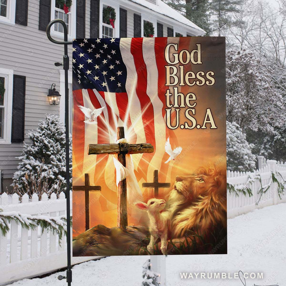 Lion Jesus, USA flag, Jesus cross, Columbidae, God bless the USA - Jesus Flag