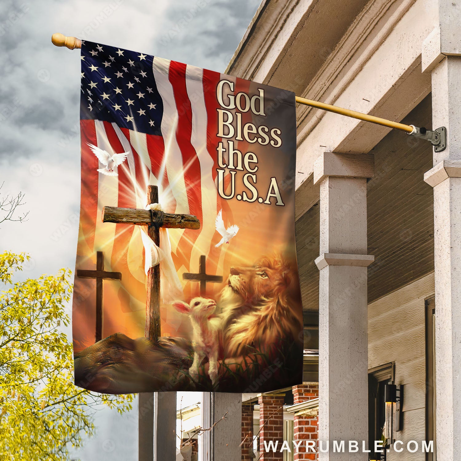 Lion Jesus, USA flag, Jesus cross, Columbidae, God bless the USA - Jesus Flag