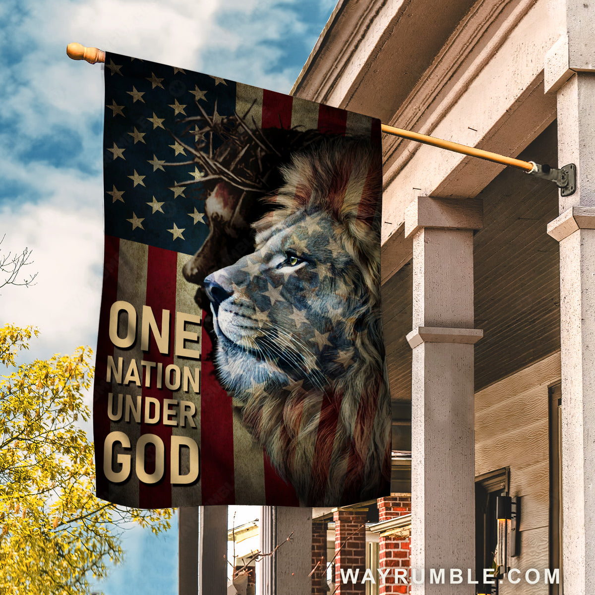 Amazing lion, Stunning Jesus painting, Old US flag, One nation under God - Jesus Flag