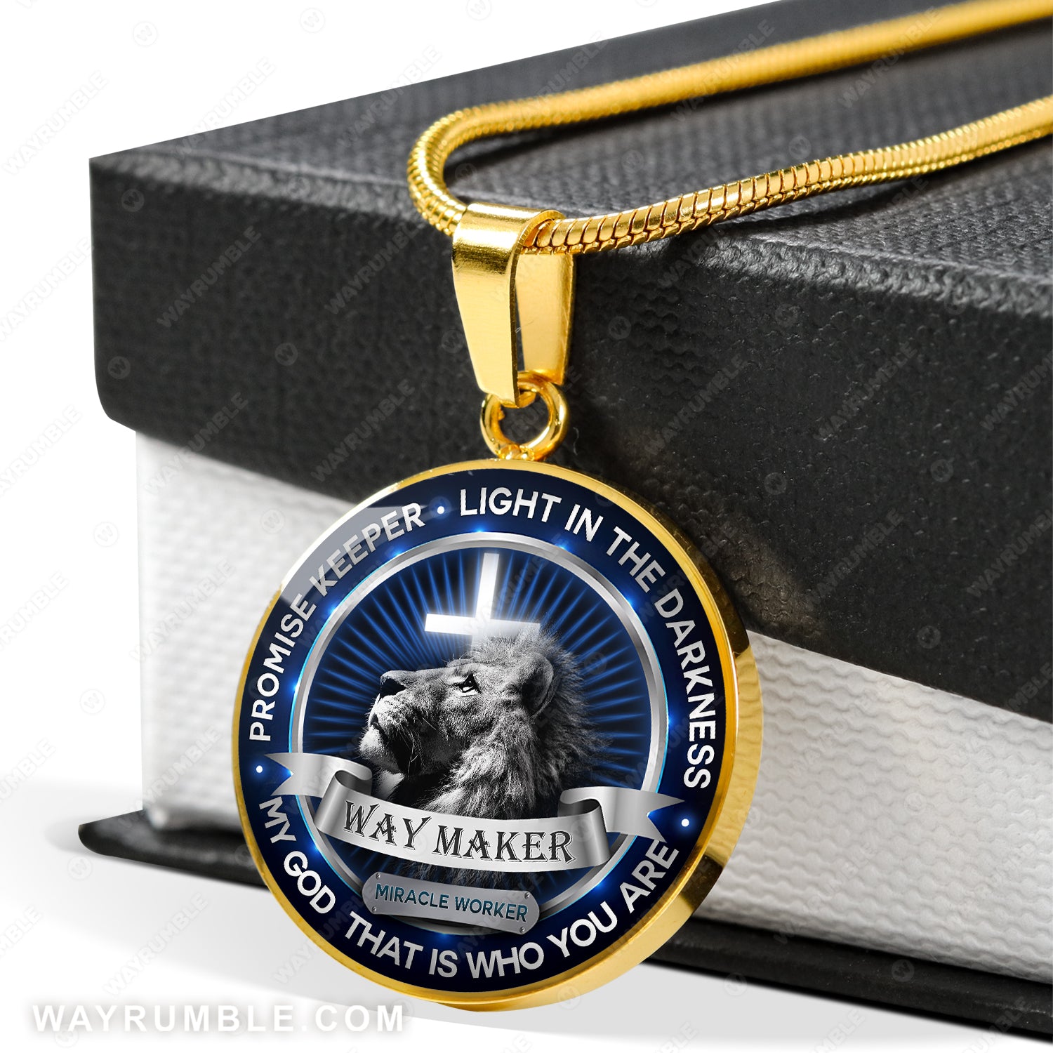 Lion painting, Jesus is the light in the darkness - Jesus Circle Necklace