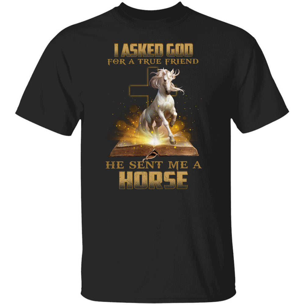 I asked God for a true friend, He sent me a Horse - Jesus, Horse Apparel