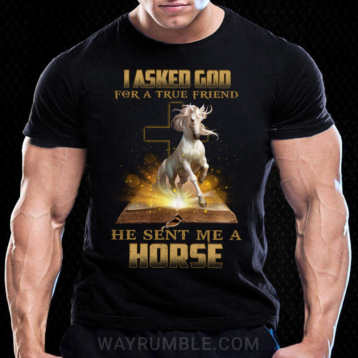 I asked God for a true friend, He sent me a Horse - Jesus, Horse Black Apparel