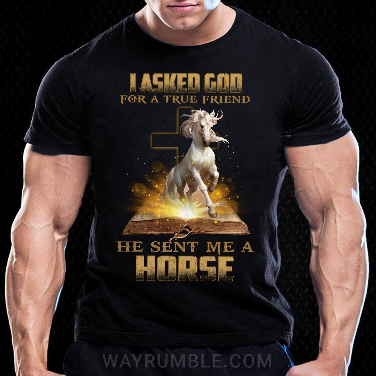 I asked God for a true friend, He sent me a Horse - Jesus, Horse Black Apparel
