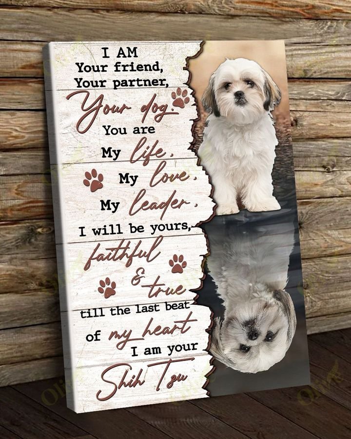 Shih Tzu, I'm your amazing Shih Tzu - Dog Portrait Canvas Prints, Wall Art