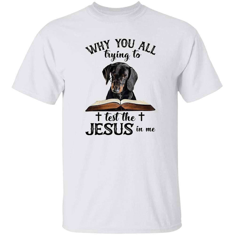 Dachshund - Why you all trying to test the Jesus in me Apparel