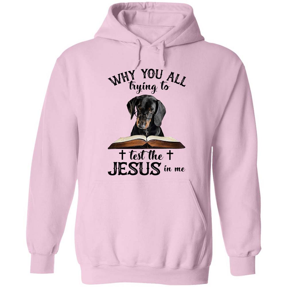 Dachshund - Why you all trying to test the Jesus in me Apparel