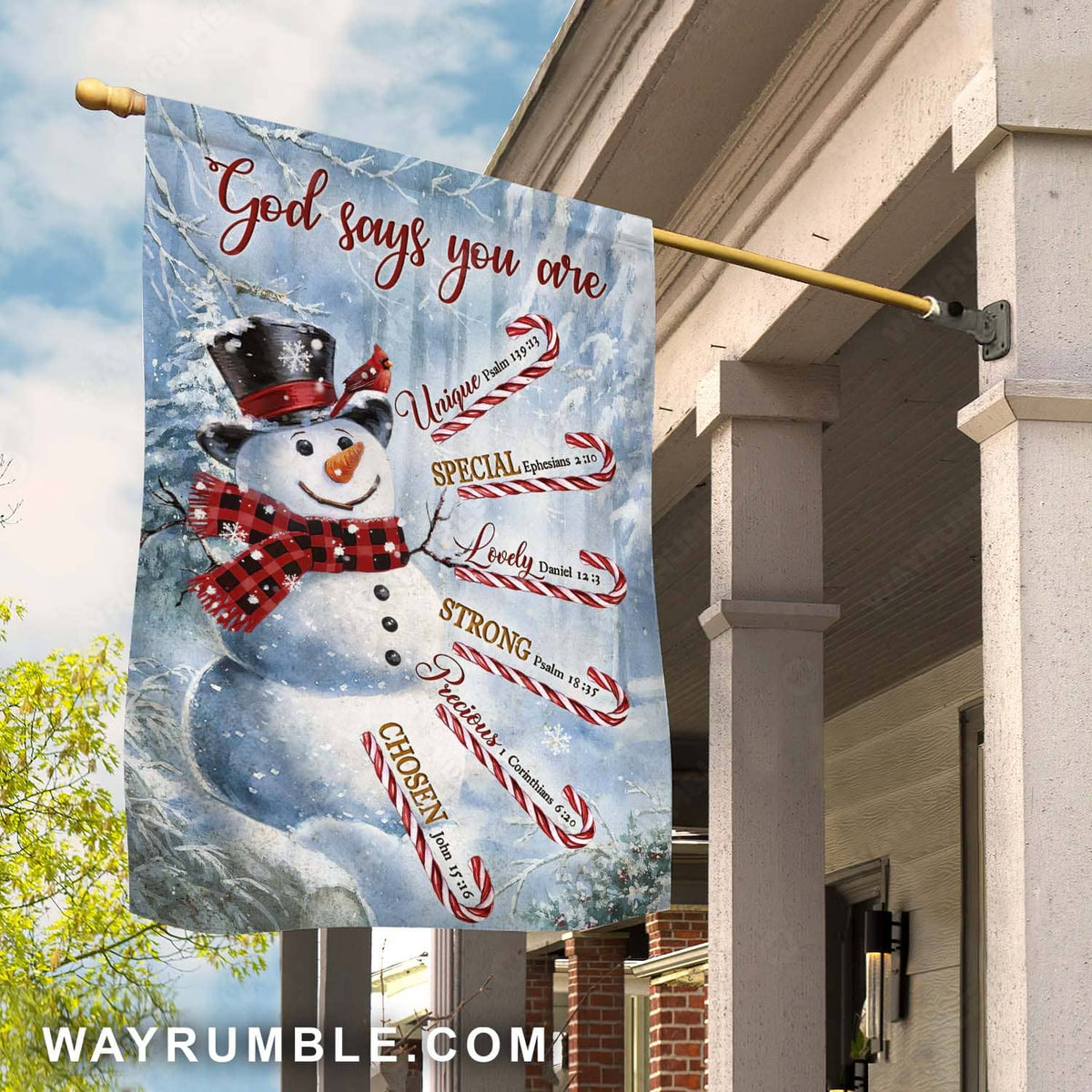 Cute snowman, Candy cane drawing, Snow forest, Red cardinal, God says you are - Jesus Flag