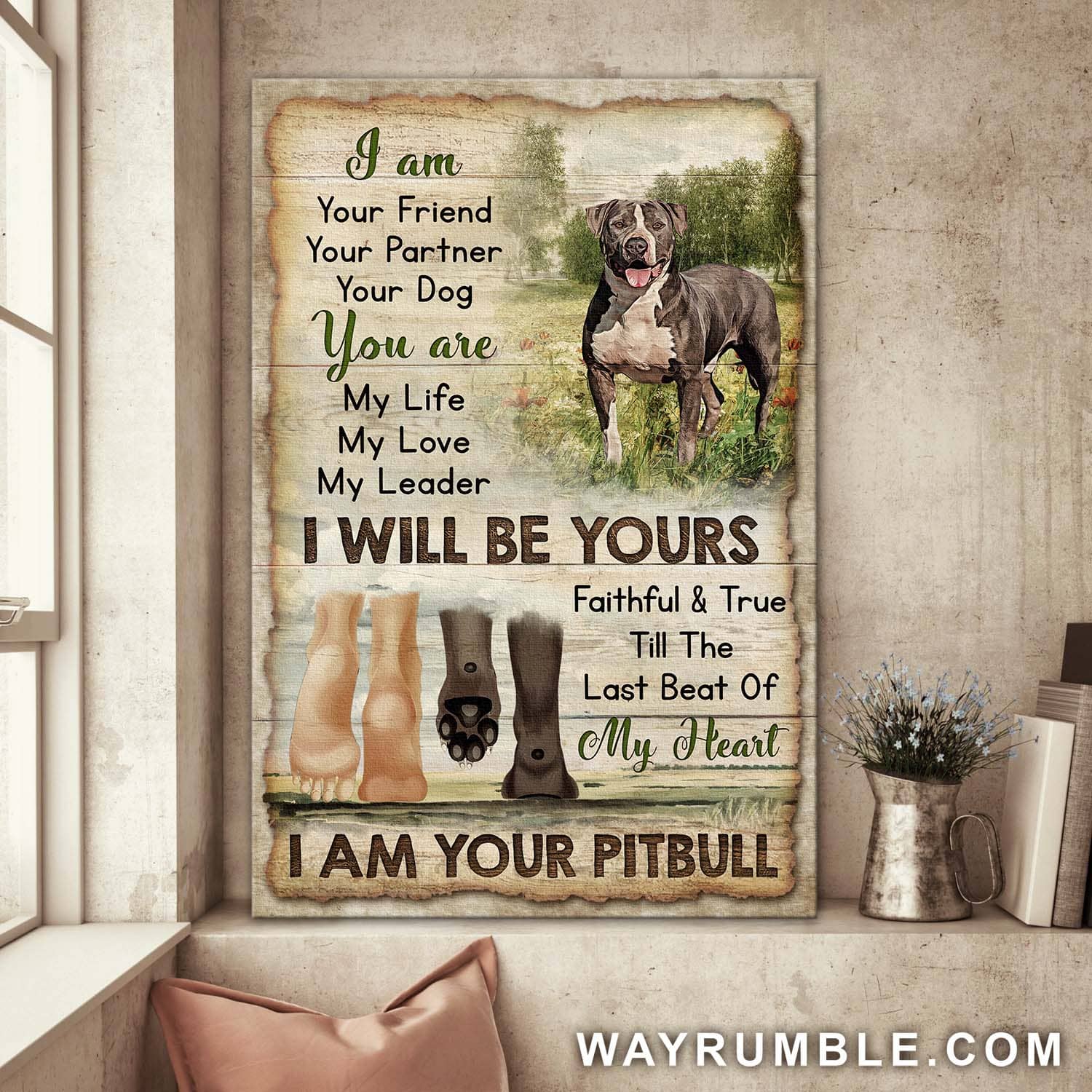 Pit bull, Paws, Grassland, I am your friend faithfully and true - Dog Portrait Canvas Prints, Wall Art
